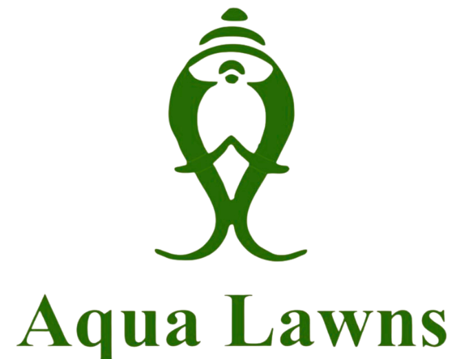Aqua lawn